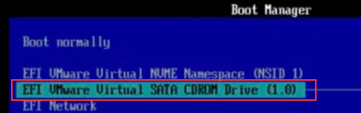 vmware16_17